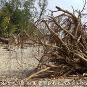 Tengragiri Wildlife Sanctuary